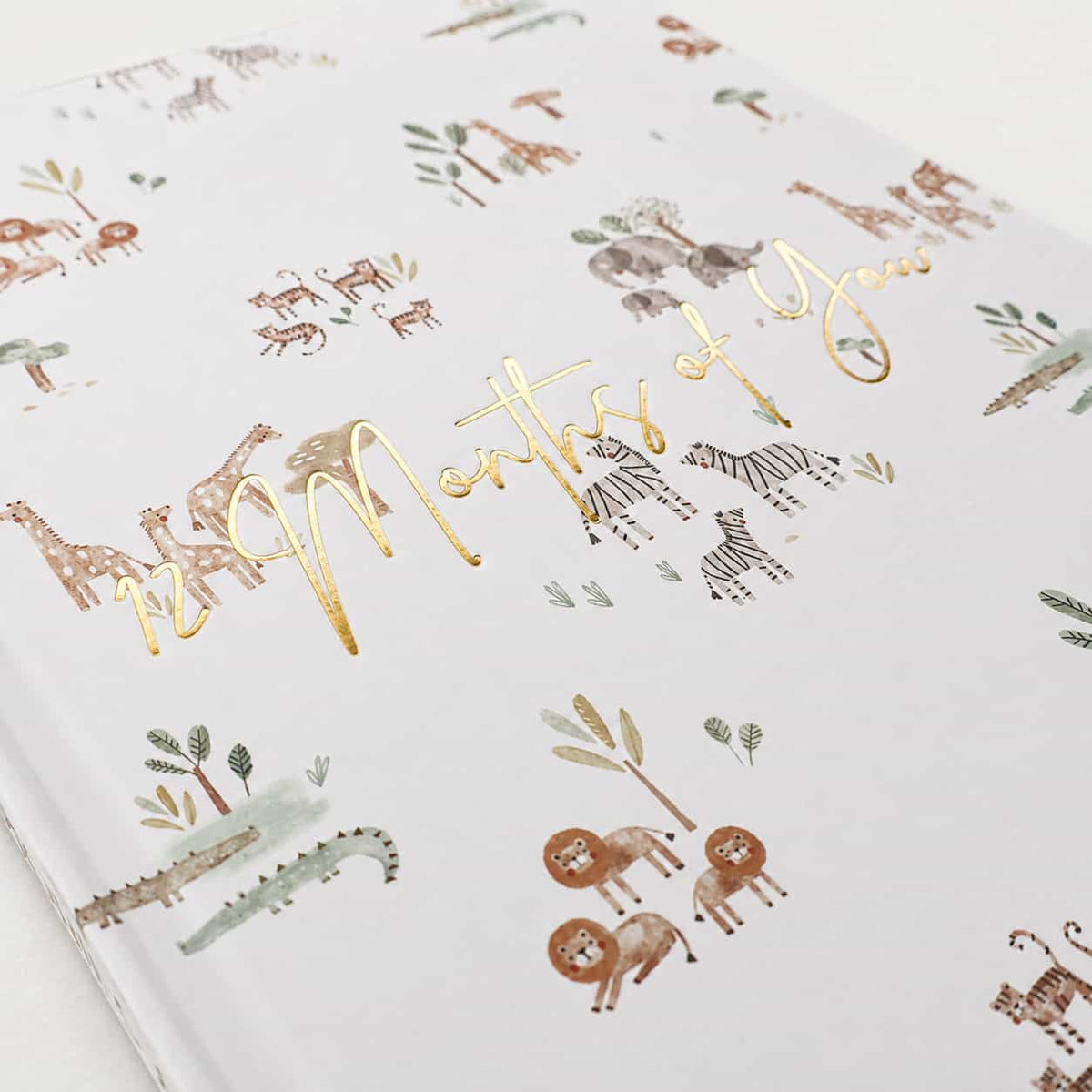 Born to be Wild milestone album and cards kit styled together
