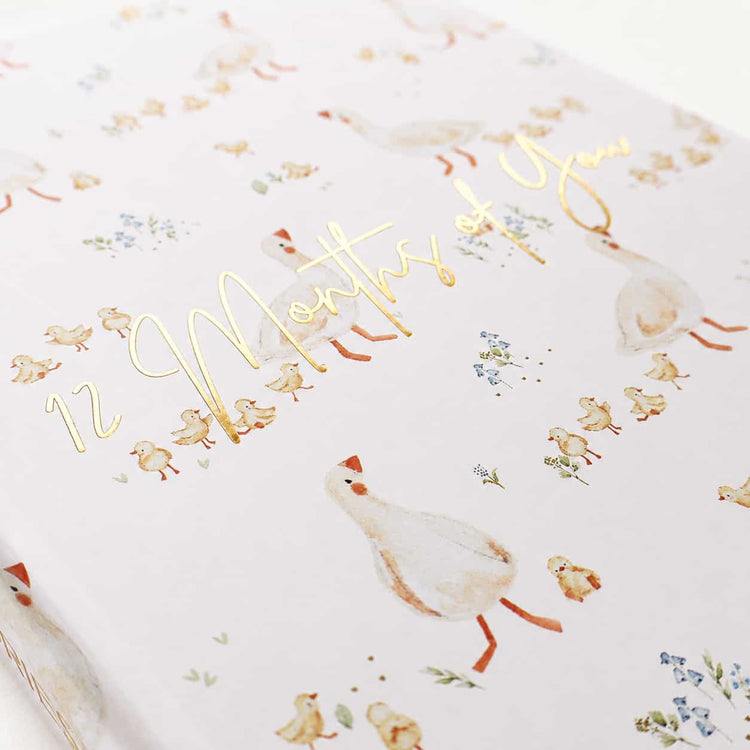 One Silly Goose milestone album and cards kit styled together