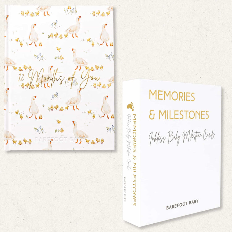 Newborn Keepsake Bundle - One Silly Goose