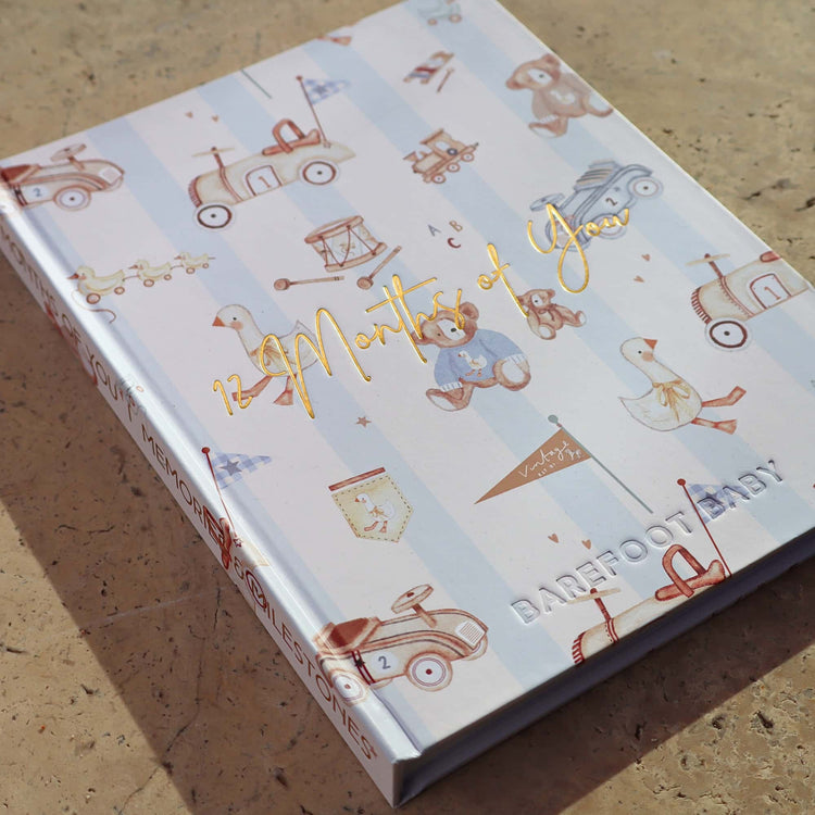Beary Cute milestone album and cards kit styled together