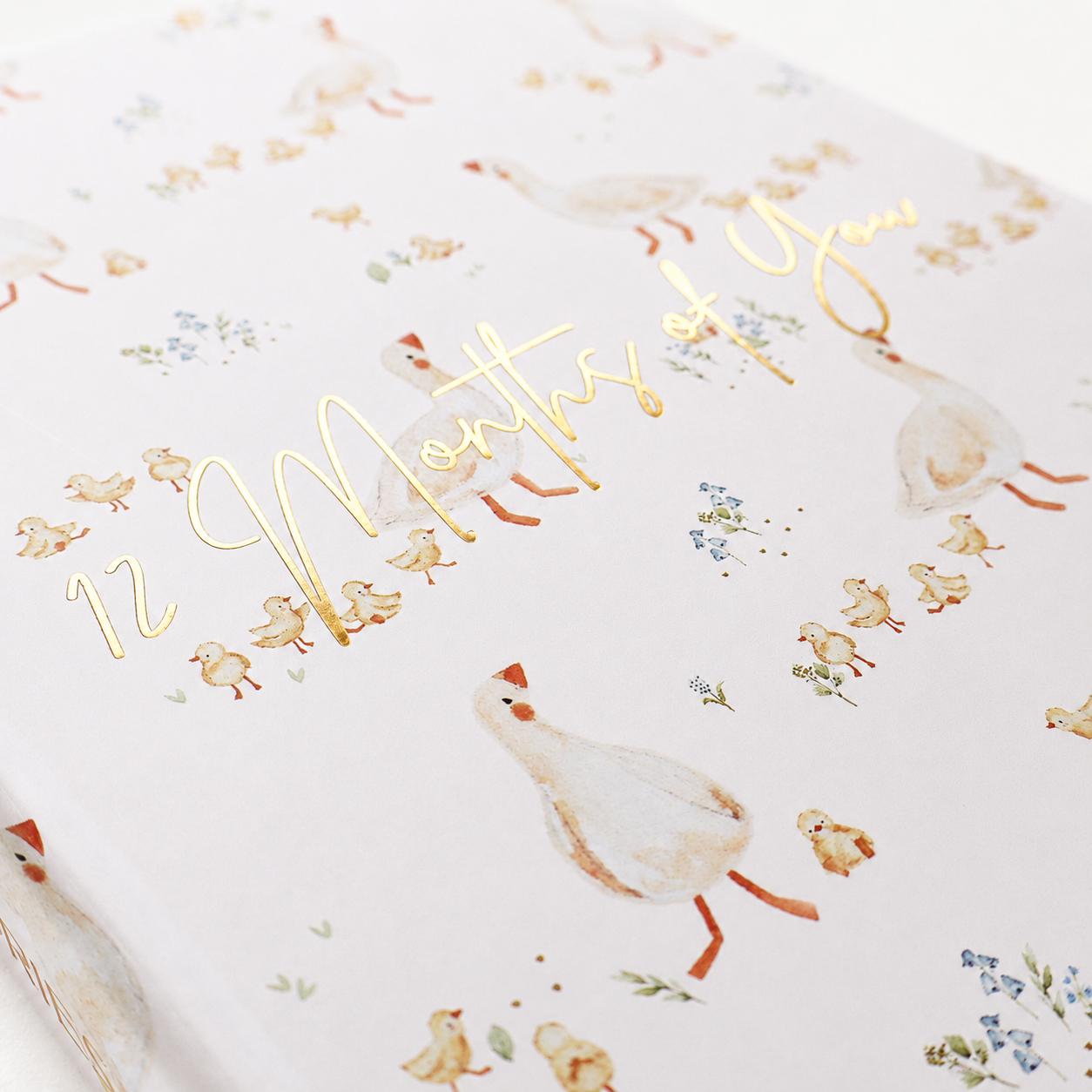 Newborn Keepsake Bundle - One Silly Goose