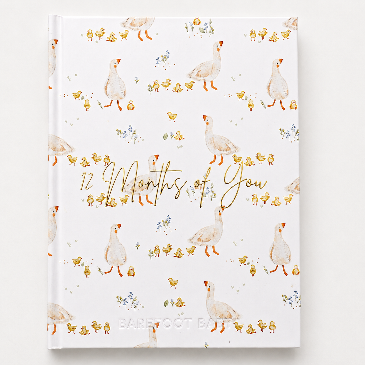 Newborn Keepsake Bundle - One Silly Goose