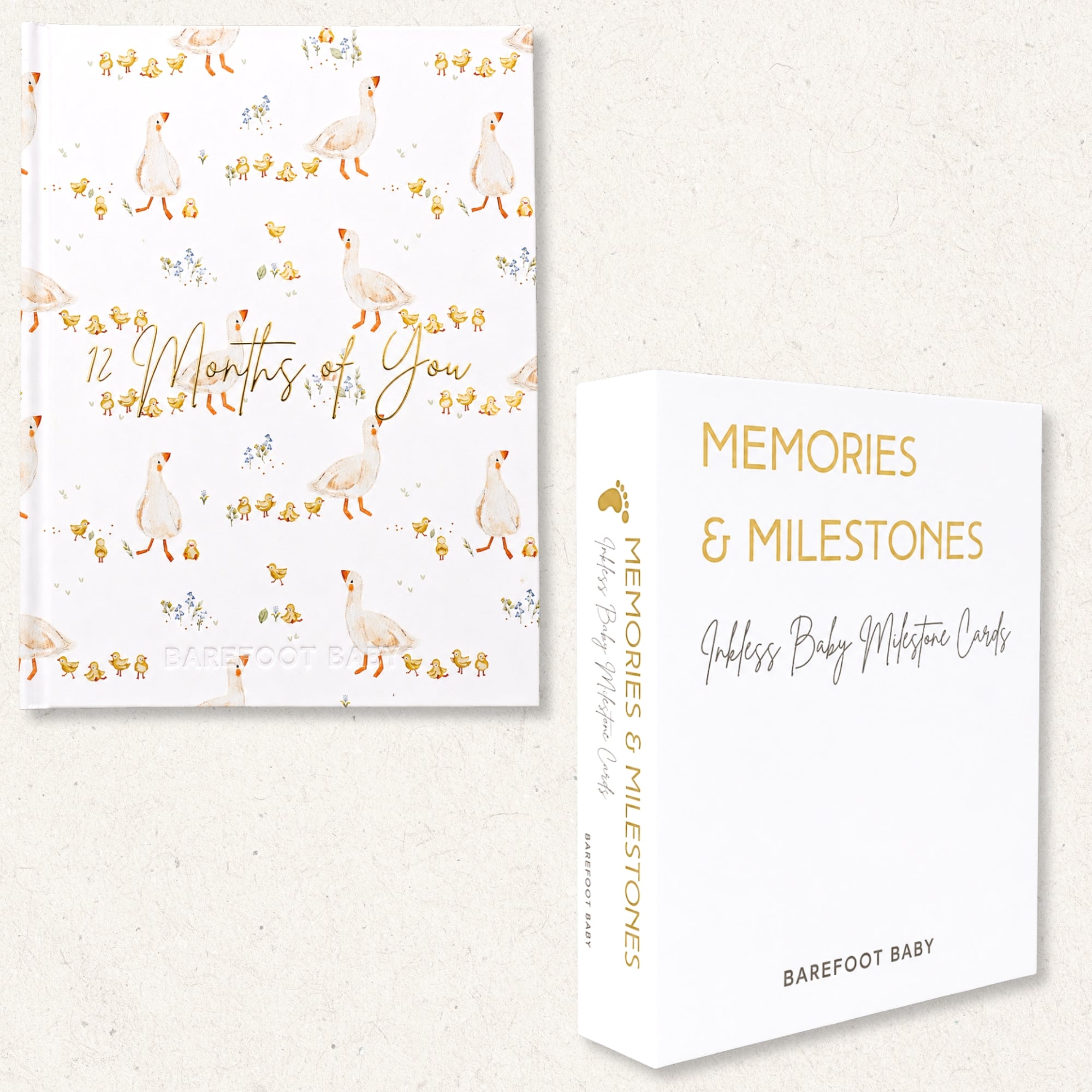 Newborn Keepsake Bundle - One Silly Goose