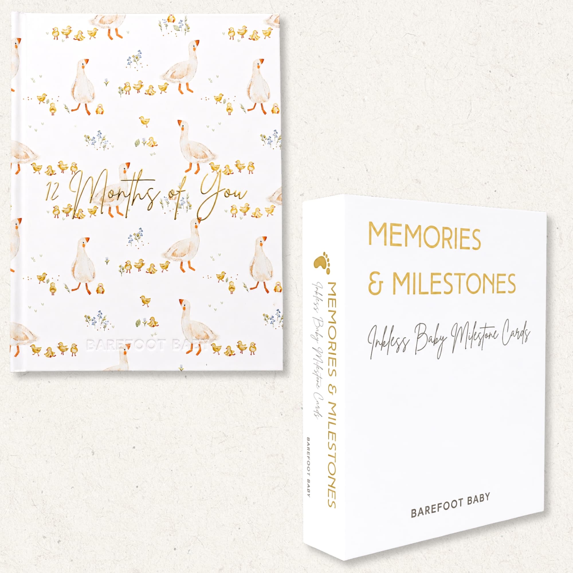Newborn Keepsake Bundle - One Silly Goose